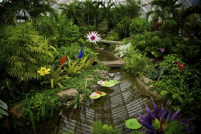 Phipps Conservatory & Botanical Gardens (18)