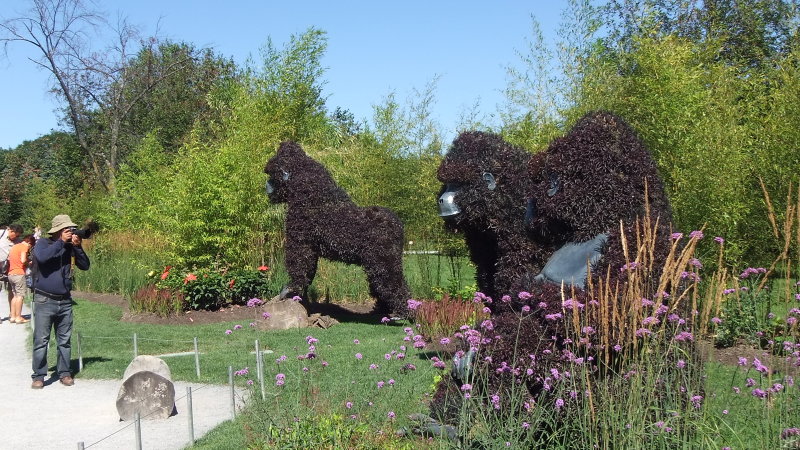 DSCF0510.JPG