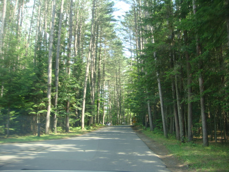 DSC00547.JPG