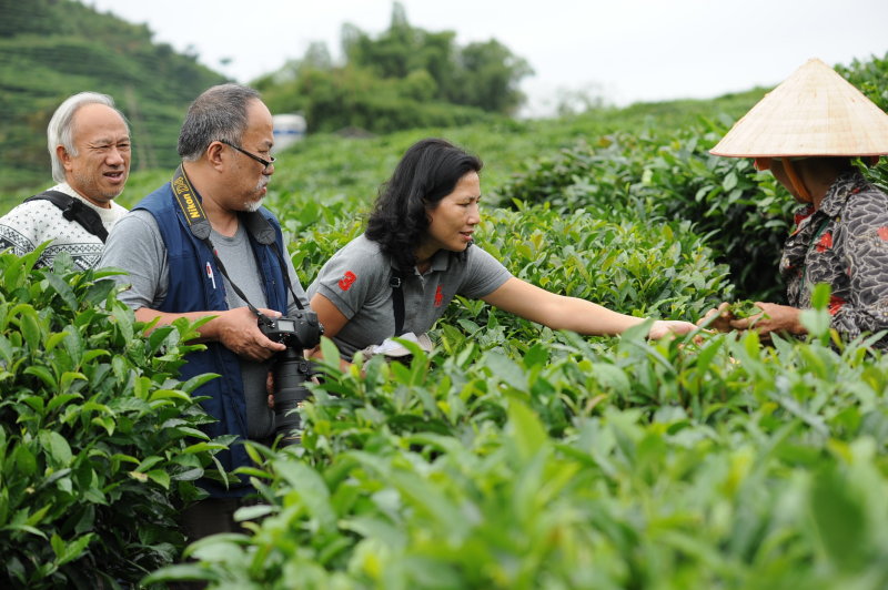 c Hoa hỏi thăm ,mổi ngy hi được 20 kg l ch.