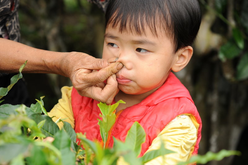 Thấy được chụp hnh,b bp mủi chu lấy cục cứt mũi ra.