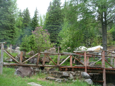 DSC09622.JPG
