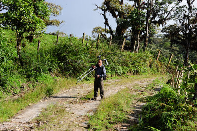 birding nearby.