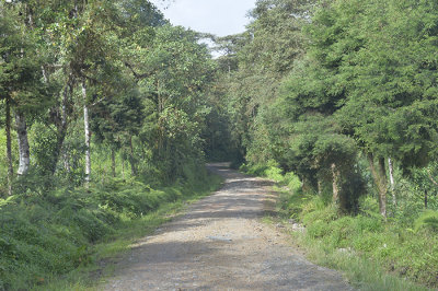 on the way to Mindo Loma