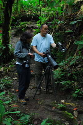 trail at Mindo Loma