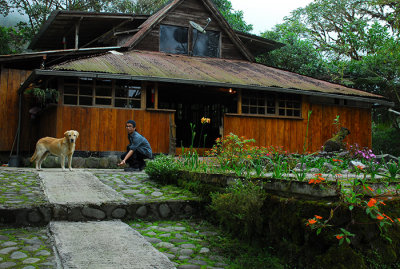phong an Mindo Loma