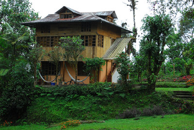 phong ngu
