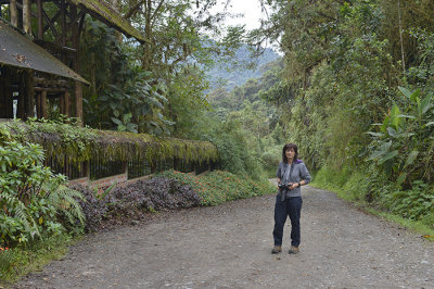Van at Bellavista