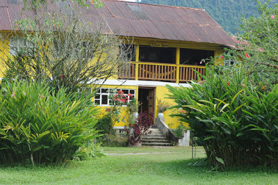 Yellow House Mindo