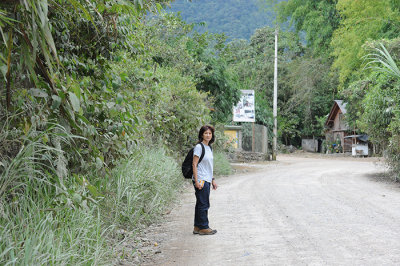 go to see the butterfly farm