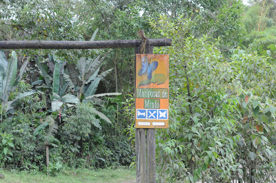 butterfly farm in Mindo
