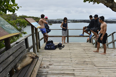 Cocha de Perla.Isabela.Galapagos