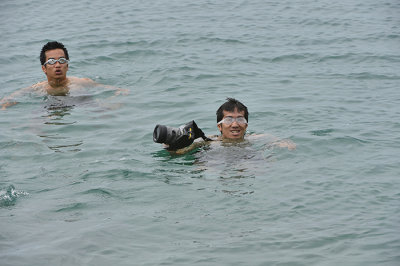 Nicholas video sea lion