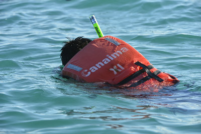 Nicholas video White Shark in Las Tintoreras.