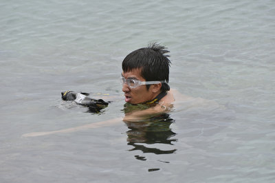 Cocha de Perla.Isabela island