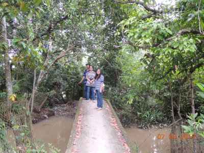 Cau vo nha ong noi