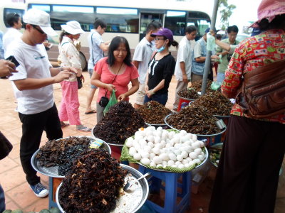 Cho con trung - Cambodia