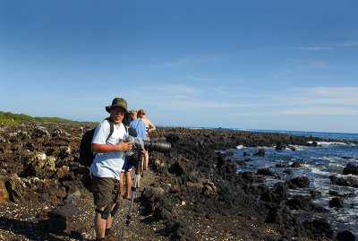 Las Tintoreras.Isabela island