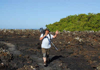 Las Tintoreras.Isabela island