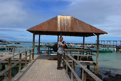 Cocha de Perla.Isabela.island