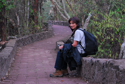 g9/88/929388/3/152221725.srsiAo3H.jpg