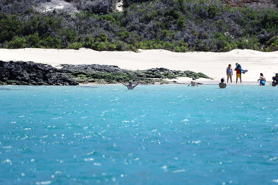 snockeling in isla bartolome