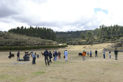 Saqsayhuanman.Cuzco