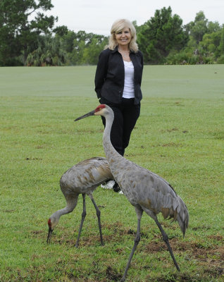 Janet with Sandhill Cranes on golf course.