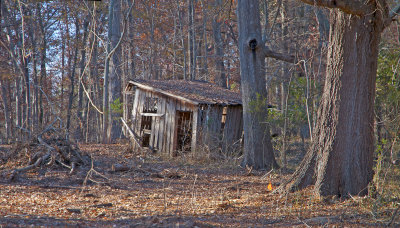 Behind The Woodshed, no longer there since better housing is now being built. 