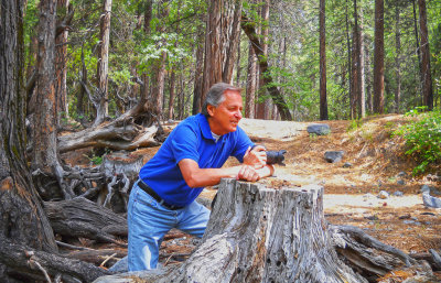 Me among Giant Sequoia Trees in Yosemite.