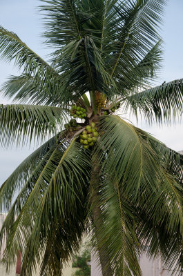 india_trip