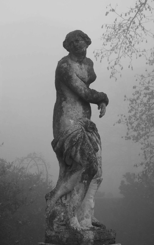 statue in the fog.jpg