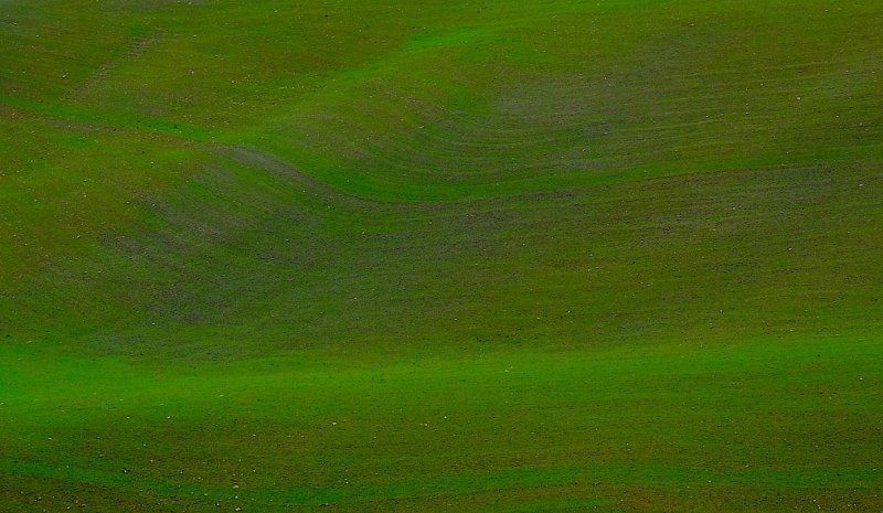 texture green.jpg