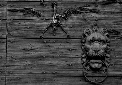 the crow and lion.jpg