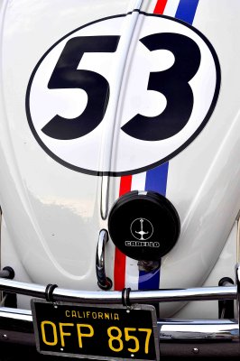 Herbie details .jpg