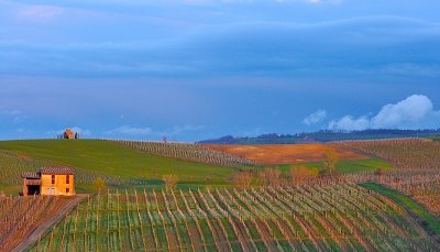hills and vineyards