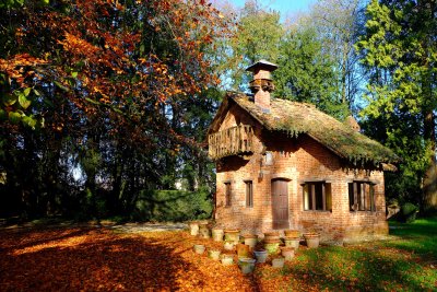 the house of doll in the forest of Park.jpg