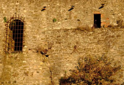 the castle of Riva windows.jpg