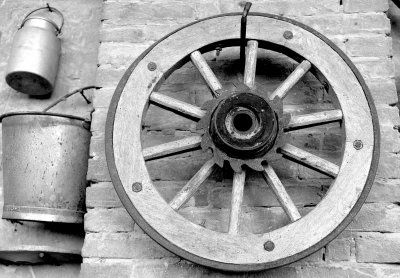 rural wheel in wood.jpg