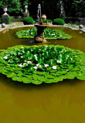 Fountain Mistilinea.jpg