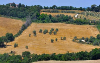 Tuscany hills.jpg