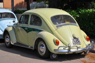 rare beetle vw original australian model.jpg