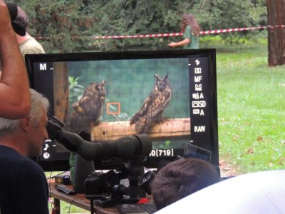 digiscoping in the festival dei gufi.jpg