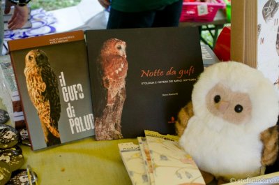 italian book of owls.jpg