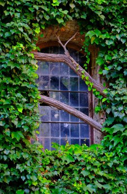 a secret window.jpg
