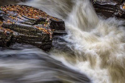 After the Downpour.jpg
