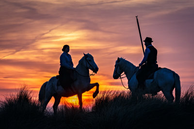 Sunrise on the Dunes.jpg