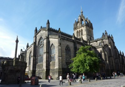 P1050116_800_95.jpg