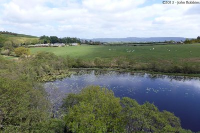 Craggaunowen Tower View