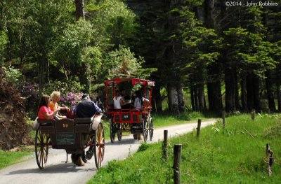 Killarney: Jaunting Carts